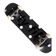 Fifty Fifty Polka Trademark Complete Assorted Sizes