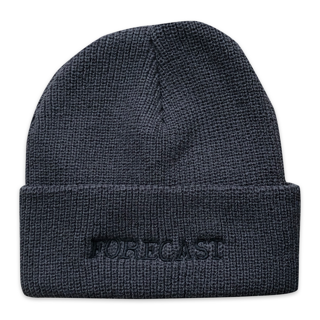 Fore-Cast Type Beanie Graphite